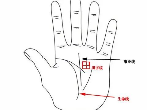 女人手相中都有哪些象征富贵命的标志呢？