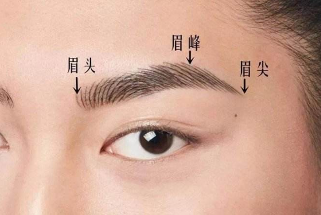 从面相来说“连眉毛”的人有什么优缺点？