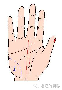 手相图解：怎样判断手相命理的吉凶？