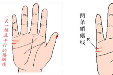 风水堂:婚姻线很短很不规则