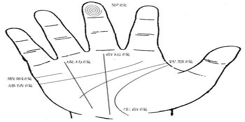 手掌纹怎么看手相的解析，造化玄奇解析！