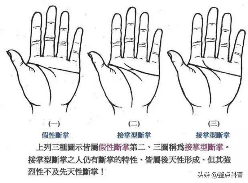 断掌纹的手相图解详解，男人左手断掌是什么命好不好-第5张图片-文哥运势网