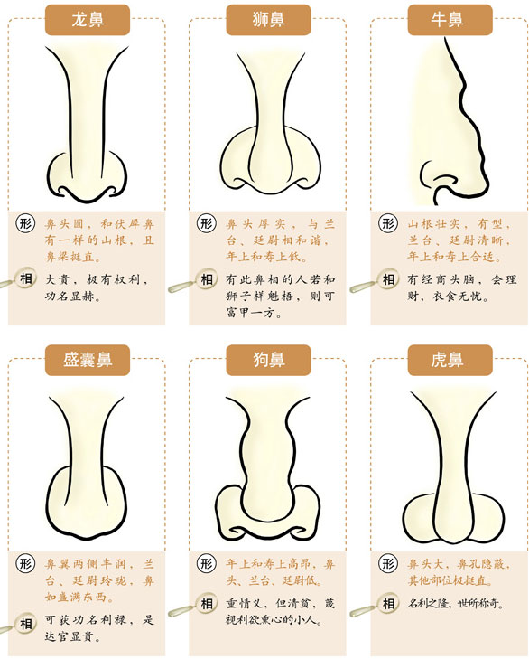 鼻头发亮有光泽面相 算卦八字算命算合婚算爱情算财运2017-05-13