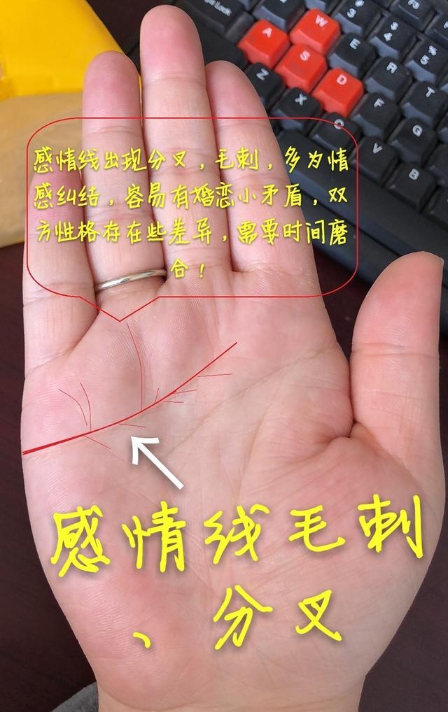 没有没有感情线的人就没有爱情吗?