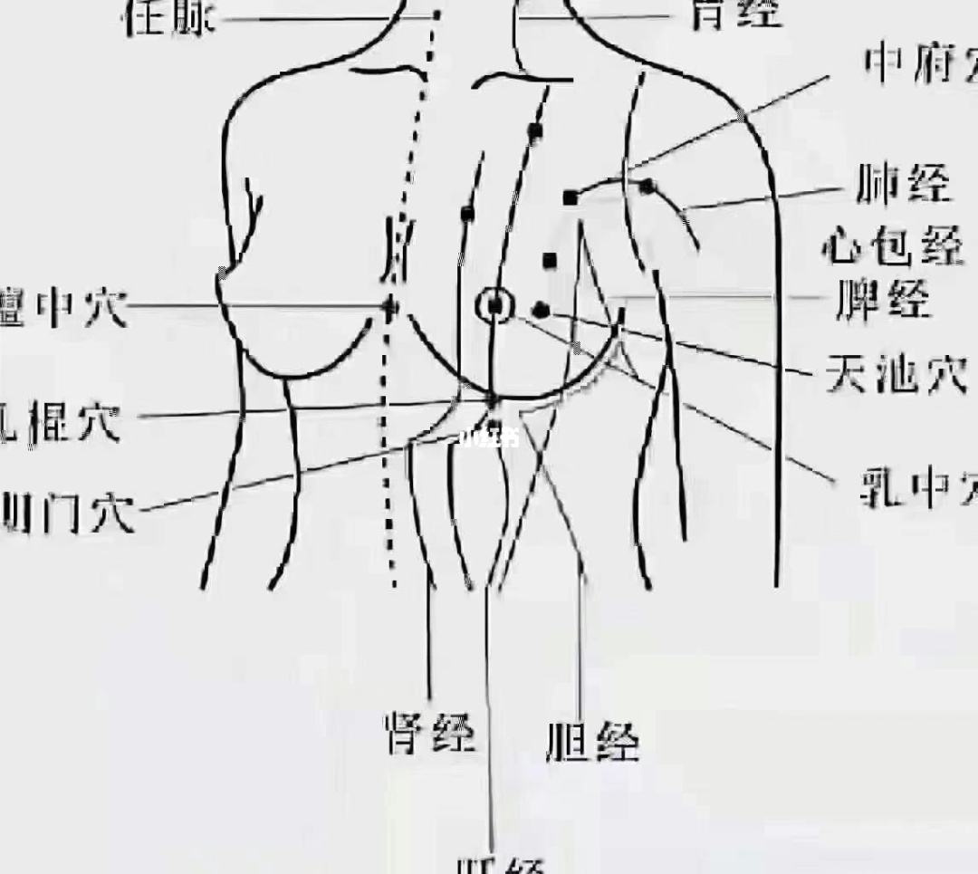 女性胸前长痣图解 接下来,：善于经商，财源旺盛，一生富足有余！