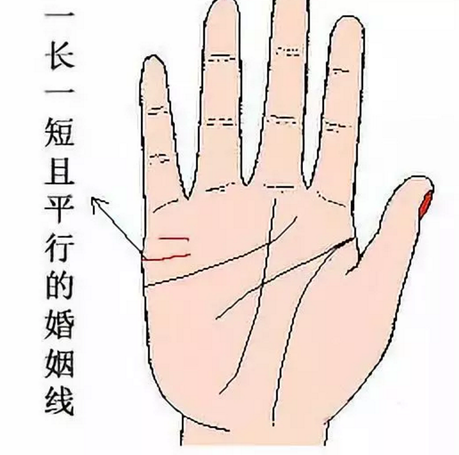 男人看婚姻线看哪只手？怎么看呢？图解大全