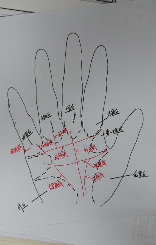 部分手掌纹路图解