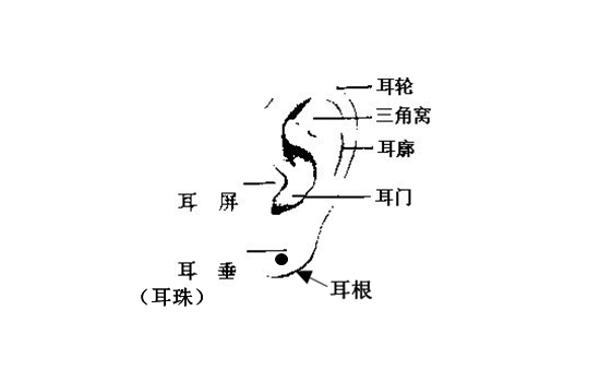 耳朵上有痣的你，一生不为钱所困，也不被疾病所苦