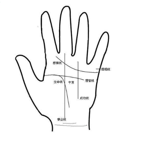 弘宁堂徐师傅：如何看手相的婚姻线爱情线