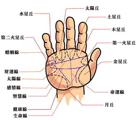 女人手相生命线代表什么生命线起端出现细纹代表