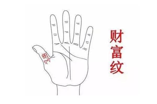 天生富贵命的女人手相详解，你了解吗？