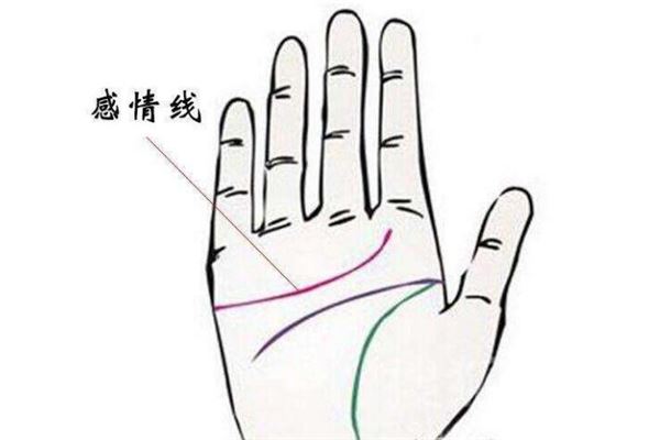 女人手相中的爱情线，你知道吗？