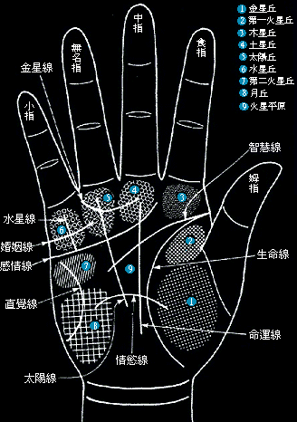 手相怎么看寿命长短？算算我的寿命有多长