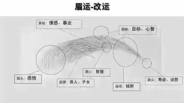 为什么说要远离眉毛太浓的人？