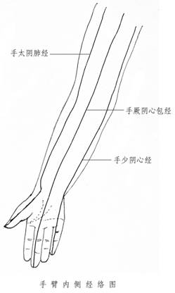 （李向东）右手臂内侧有痣的前世意义有什么？