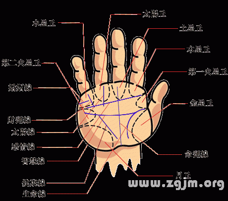 男人的手相什么样的最好男人手相