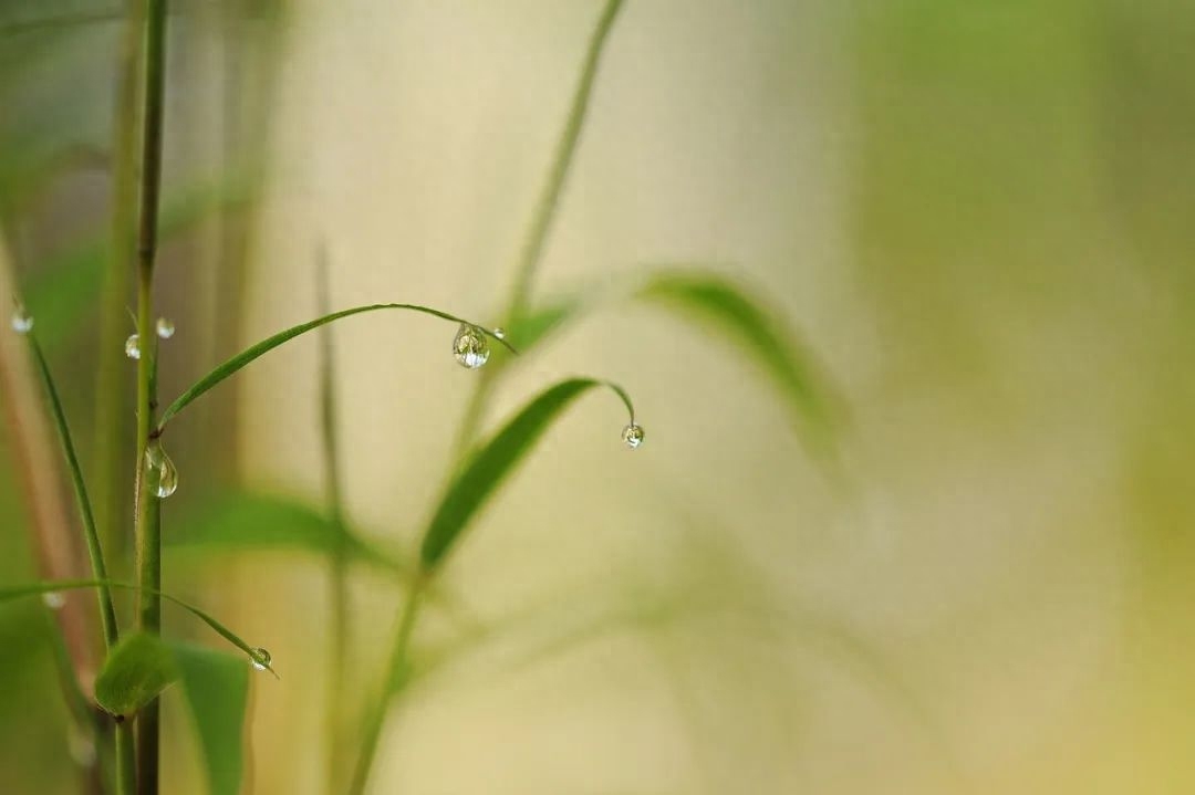 一个人的面相，隐藏着你一生的命运轨迹！