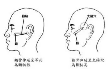 鼻子高颧骨高男人面相_颧骨高的男人面相_鼻子挺但颧骨低的女人面相