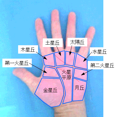 女人手掌纹路图解右手感情线从小指下掌边开始