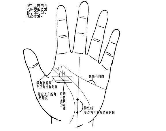 风水堂：手心三条线分别是什么？