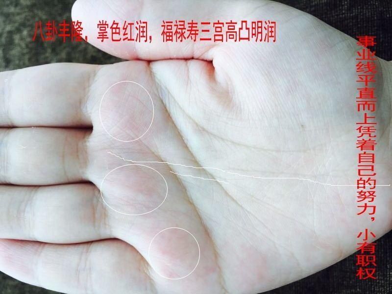 男人什么手相命最好？手掌软绵而不僵硬