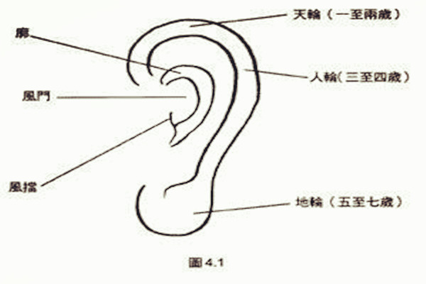 耳朵看相，耳朵形状也有命运说？