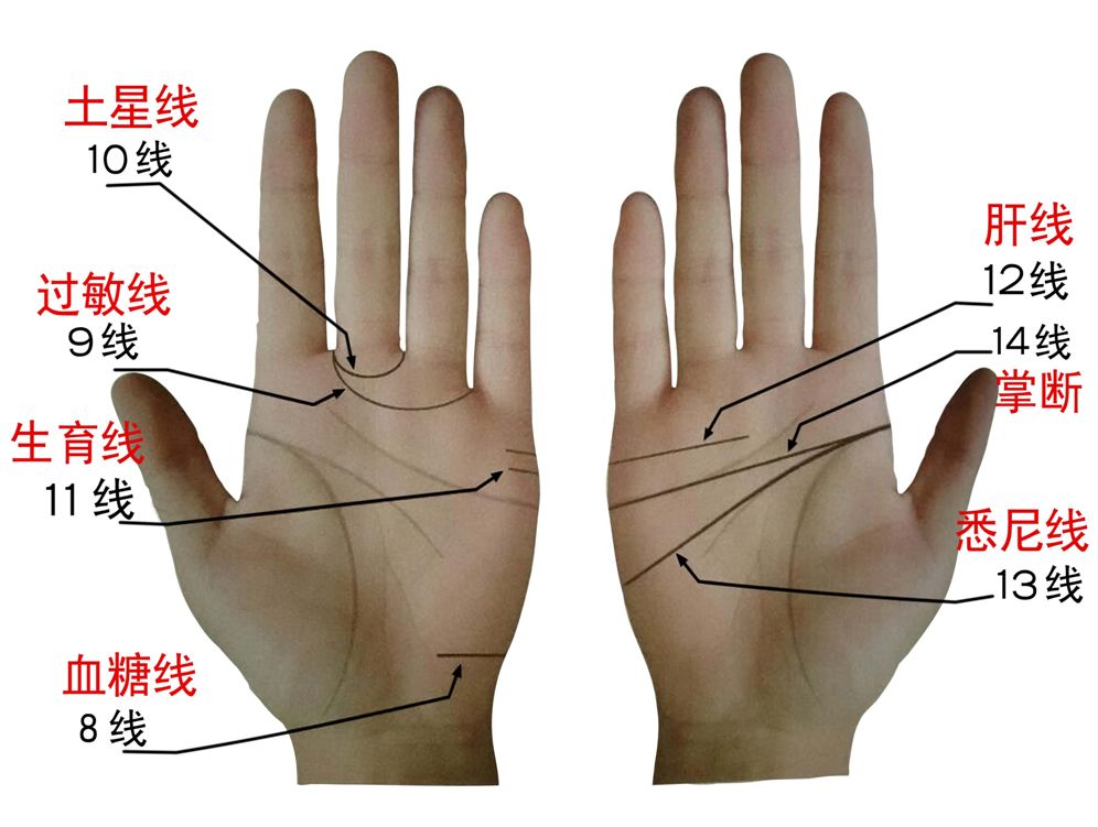 （李向东）手相感情线图解大全，你了解吗？