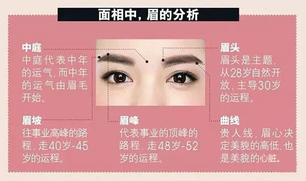 （李向东）女人眉毛上有痣代表什么？