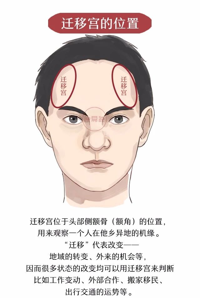 风水堂:头发粗又多面相学中的秘密