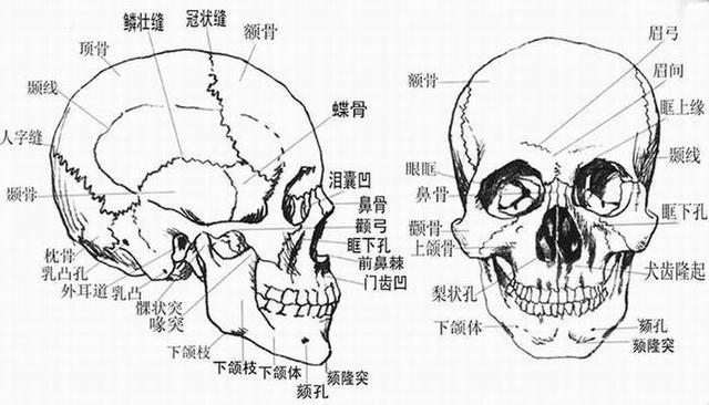 化妆师要想塑造出理想的妆容，少不了全面了解