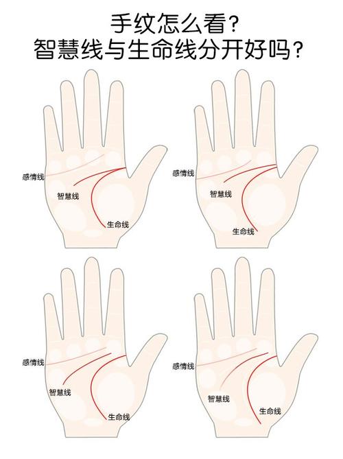 手相怎么看婚姻线看左手还是右手鹏飞