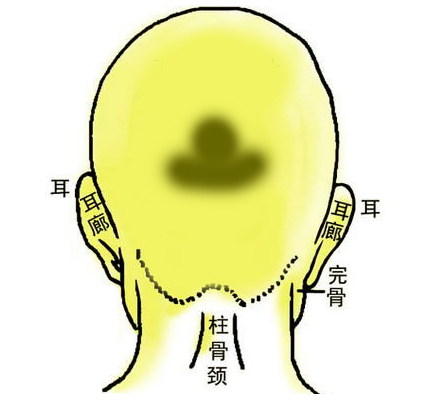 （李向东）脑袋后面有反骨的面相好么?