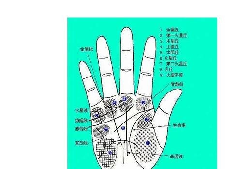 最实用的手相生命线图解大全——图解智慧线