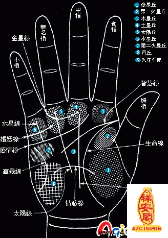 风水堂:手相婚姻线的基本分类