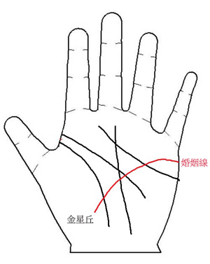 感情的世界裡，不被爱的才是第叁者