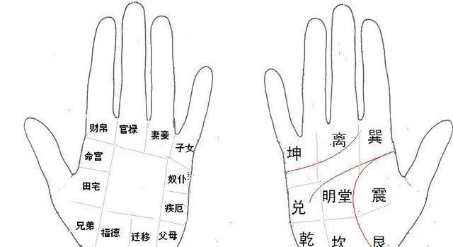 贫道教您看手相,不得不去了解一下的发财手相