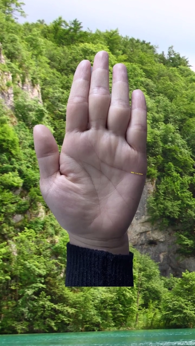 手相事业线（如图蓝色）末端分叉，一生亨通！