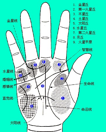 （李向东）手相里的凶相——断掌纹的民间