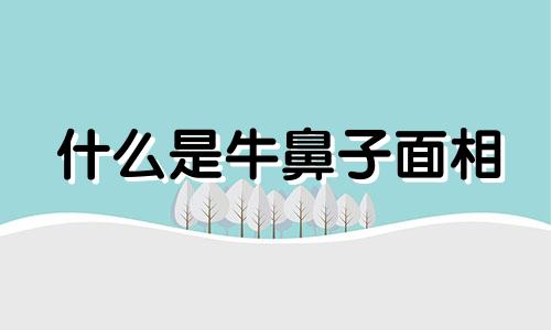 什么是牛鼻子面相 牛鼻子面相男人好不好 天生富贵命的牛鼻面相分析