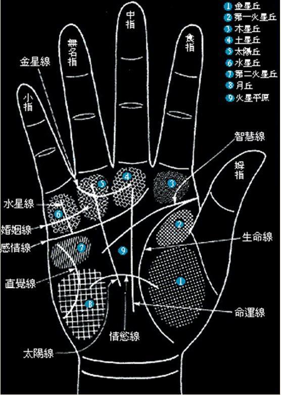 手中的双感情线有哪些不同的含义？