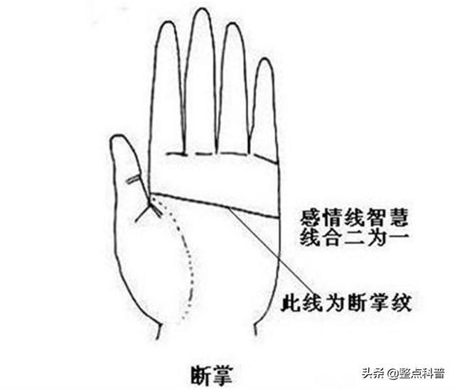 中国传统文化中的命理俗语：断掌的奥秘与解读