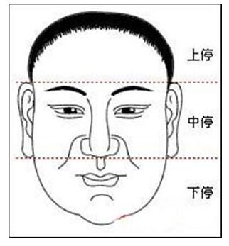 面相学：易经变易原则下的额头与鼻子山根隆起关联解析