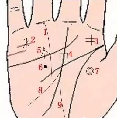 解析财运纹、星形纹、井字纹、田字纹，揭示财富密码