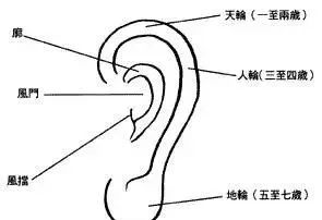 耳相与名声大小的关系：耳朵大小、高低竟能反映肾气旺衰？