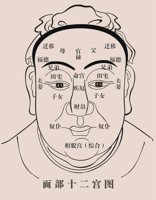 五行面相学：眼暗无神的含义及可能暗示的身体疾病