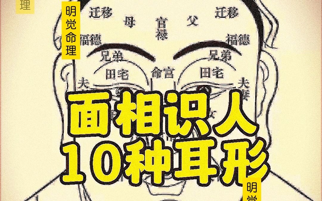 女人面相：从鼻准、下巴、天仓、耳珠看婚姻与命运