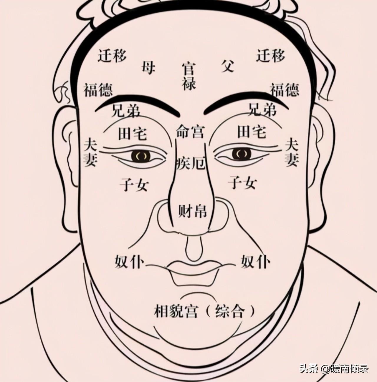 古人云：头生九龙骨，早晚必显贵，九龙骨究竟是什么？