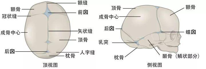 东北华北地区的童鞋们，你们的后脑勺还好吗？