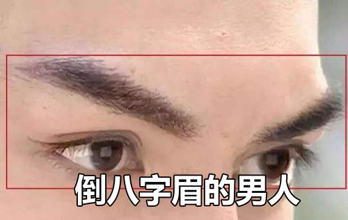 男人什么眉毛最不好？扫把眉、八字眉等都需注意