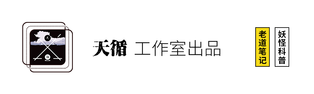 外貌与命运：长相决定待遇，智商决定选择